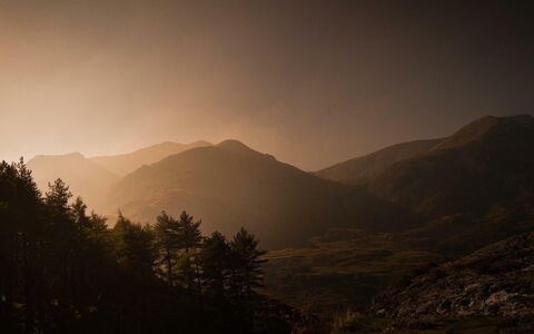 A stylised photograph of the Welsh mountains, dark and brooding with golden light and woodland in the foreground.