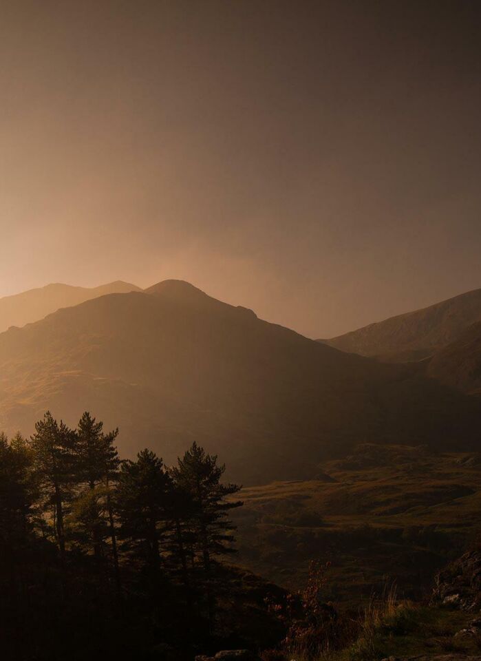 A stylised photograph of the Welsh mountains, dark and brooding with golden light and woodland in the foreground.
