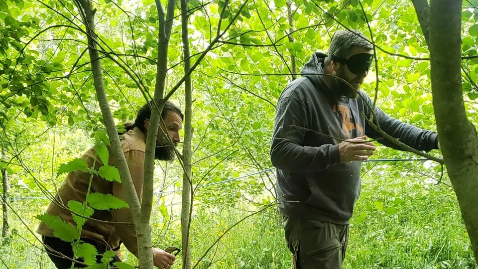Two men creeping through a woodland, one is blindfolded