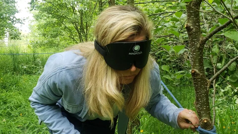 A woman creeping through a woodland blindfolded
