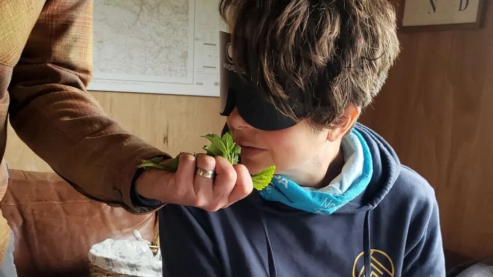 A blindfolded woman smelling some fresh mint leaves