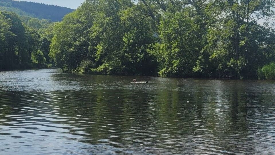 A man floating on his back in a river