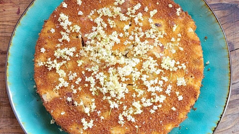 A honey and lemon cake decorated with elderflowers
