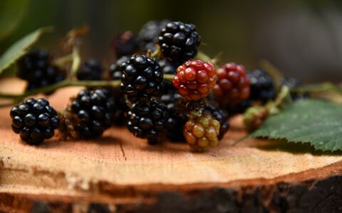 A photo of blackberries on a round of wood